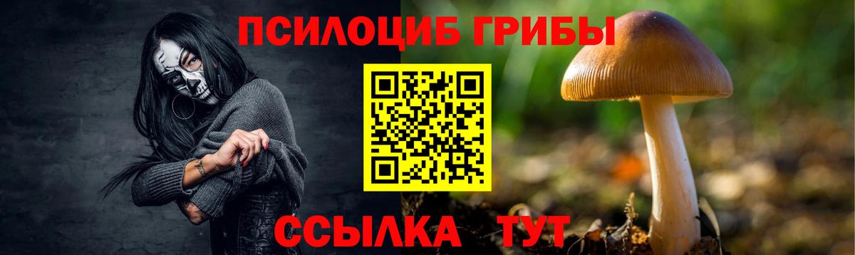Псилоцибиновые грибы Psilocybine cubensis  Вход с VPN  Псилоцибиновые грибы мицелий  Боровичи 